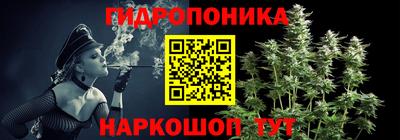 гидра Старая Купавна