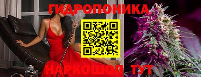гидра Старая Купавна