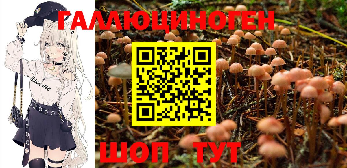Галлюциногенные грибы Cubensis  Вход с VPN  Новочебоксарск 